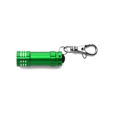 Keyring with carabiner, LED light