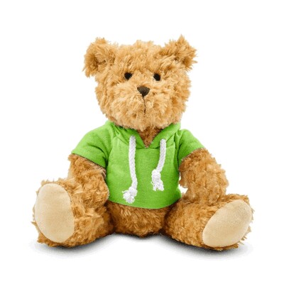 Teddy bear with hoodie