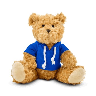 Teddybär mit Kapuze
